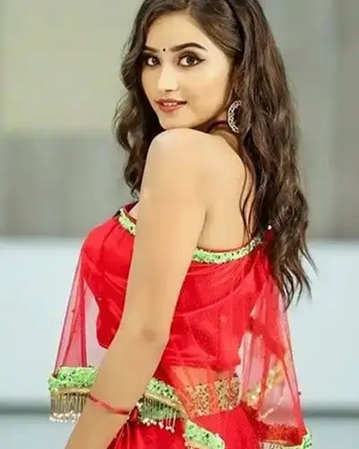 Call Girls Service Electronic City